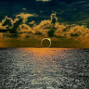 Meet your Posher, Elisa